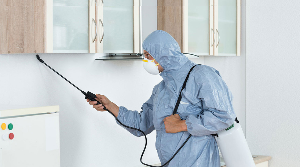 Pest Control Services in Pune 